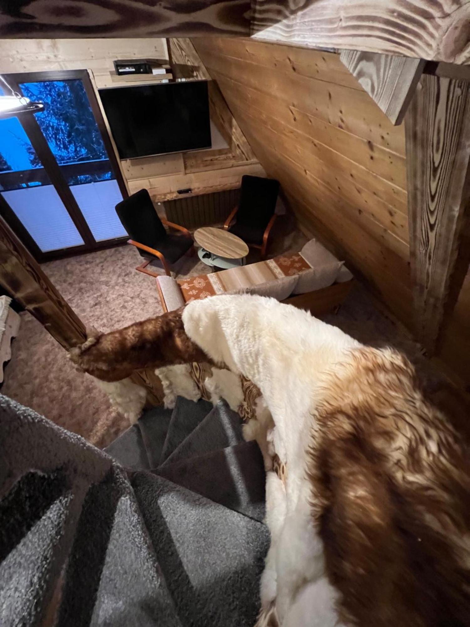 Apartamenty I Domki Taterka Косьцелісько Екстер'єр фото